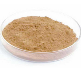 KHULANJAN DRY EXTRACT