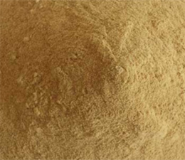 MOOLI BEEJ DRY EXTRACT