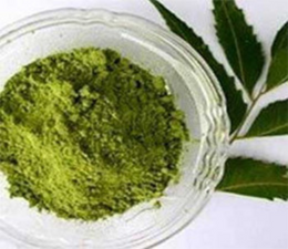 NEEM LEAVES DRY EXTRACT