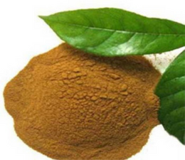NIRGUNDI DRY EXTRACT